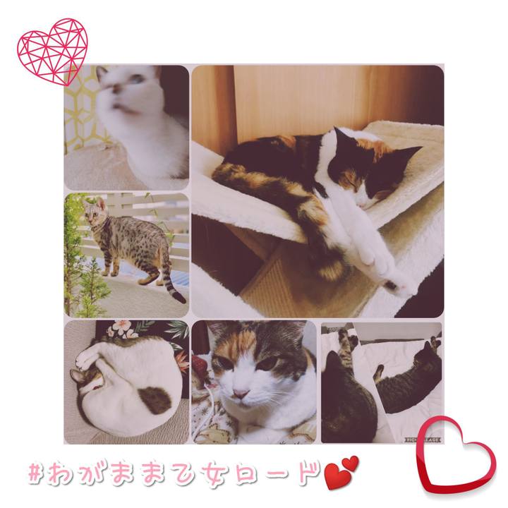 7cf0c7a0 bb04 4dbc 98b0 05805f462bf2 1568982742842