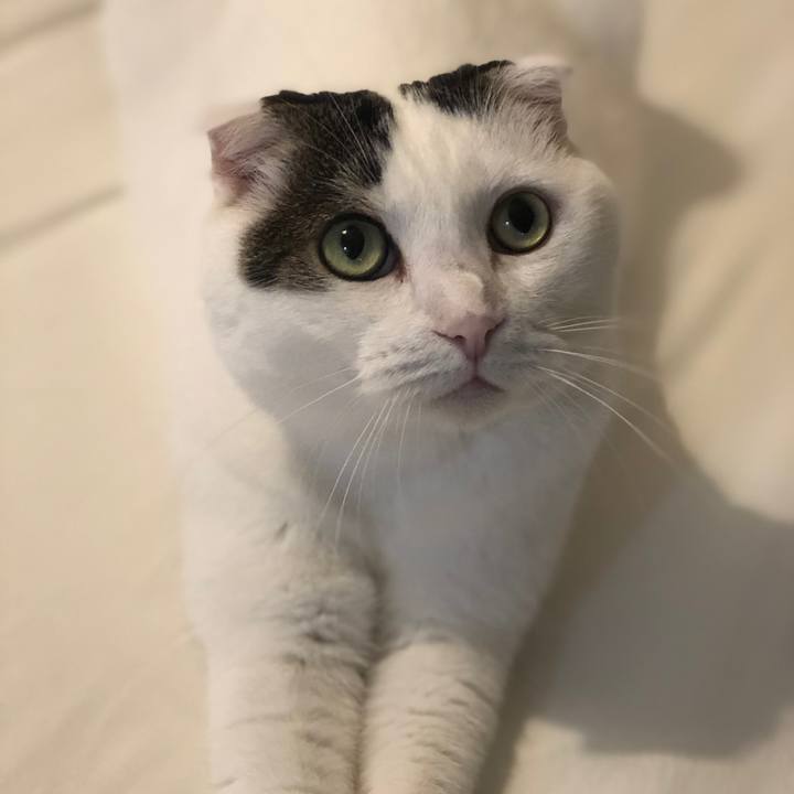 7cf0d5e0 7d01 432e b5bf eb51639d4f32 1569766395654