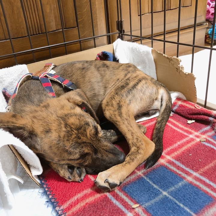 7cf0dd14 bdce 447e b794 0e1dd666cbff 1567769705810