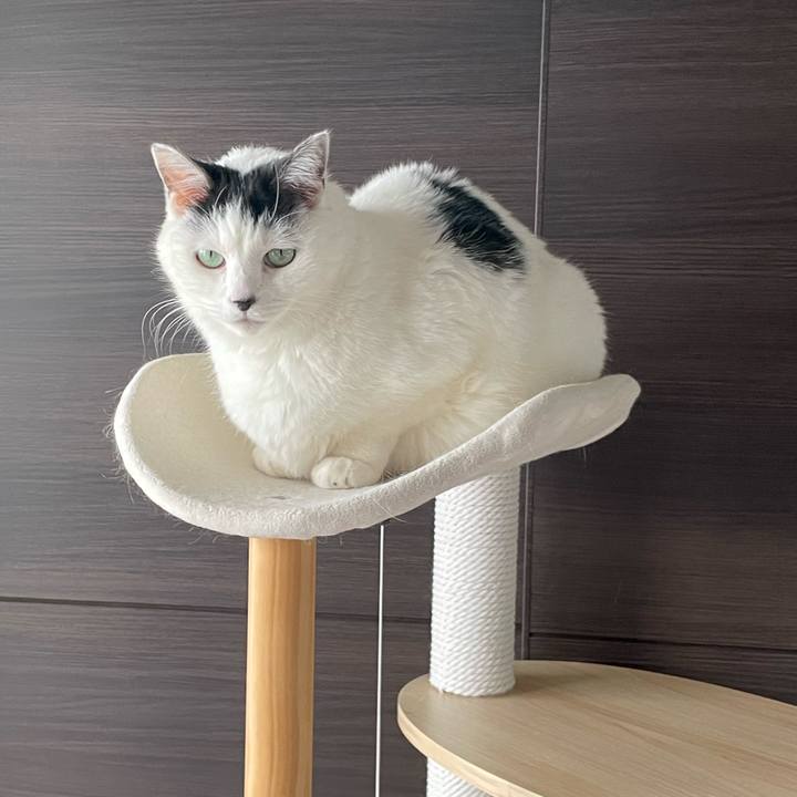 7cf0e603 29ef 4af4 8425 d4a72d62861b 1674357844287