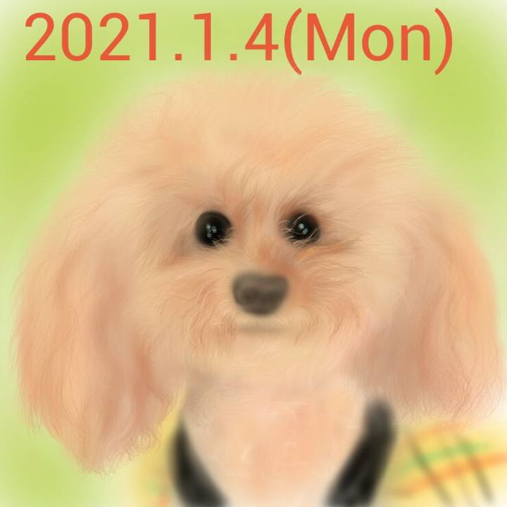 7cf0f9eb ac95 4a68 918f 13505a1be13c 1609742472402