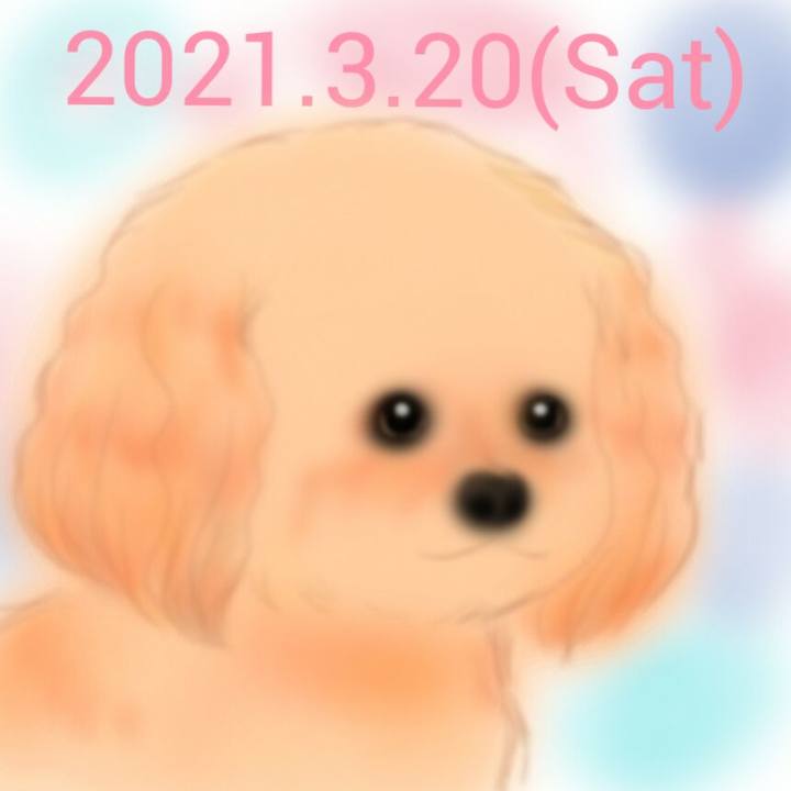 7cf105eb 134d 48ce 8c8c b25b742f22fd 1616247251549