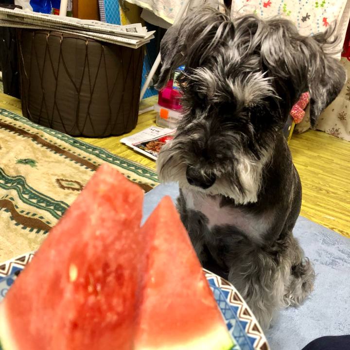 7cf10dbe 339e 4201 a22f e3499a94a7be 1687005845363