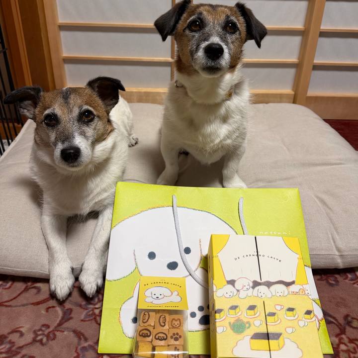 7cf1da99 c4d8 4570 845b b2a7a946af96 1774699546275