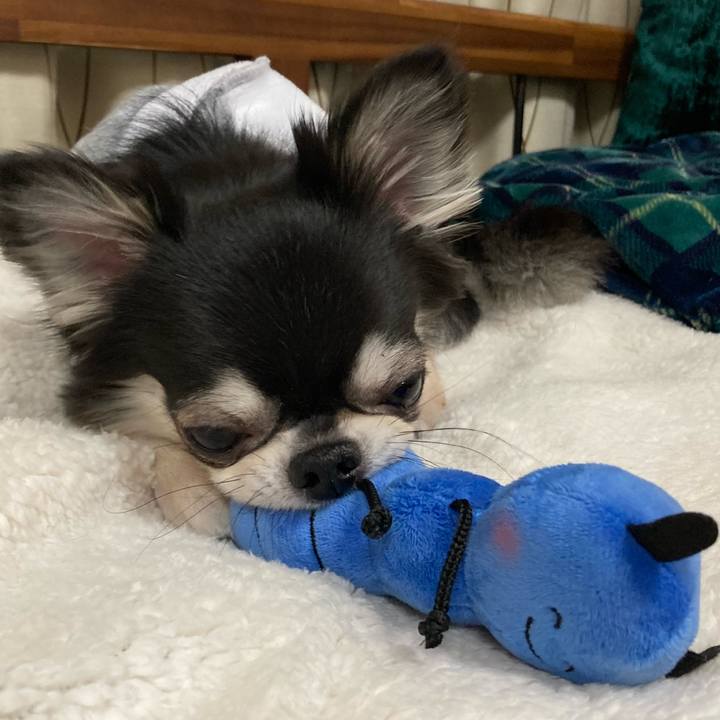 7cf1f647 51dc 4fb3 bd07 f4e2a8fcbdc9 1645884278447