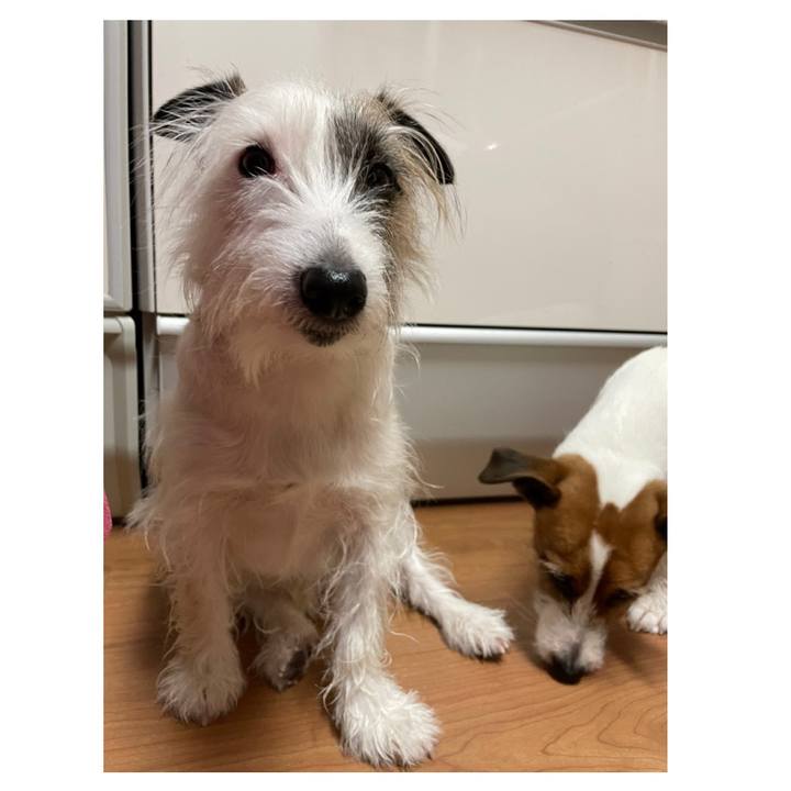 7cf216fb 522f 4fee 88b4 d54b0f26c57c 1642589683149