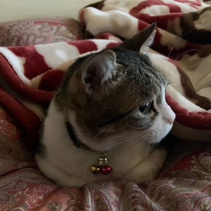 7cf23171 83fb 48e5 8637 0d7e9b90cfa8 1609028249071