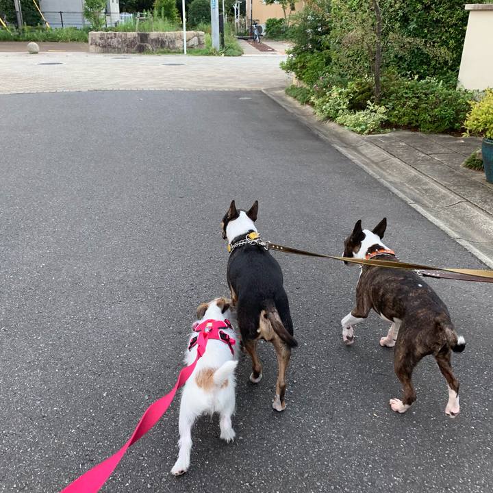 7cf245f0 da3a 47eb 85a8 01ade02a0a18 1568460154559