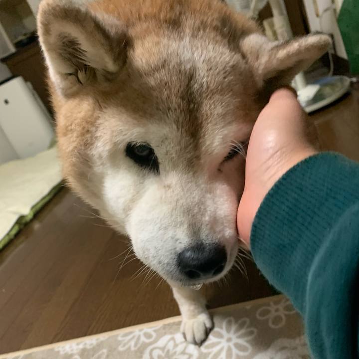 7cf267bd 5550 4ba5 b727 ea3e093b9606 1667743383763