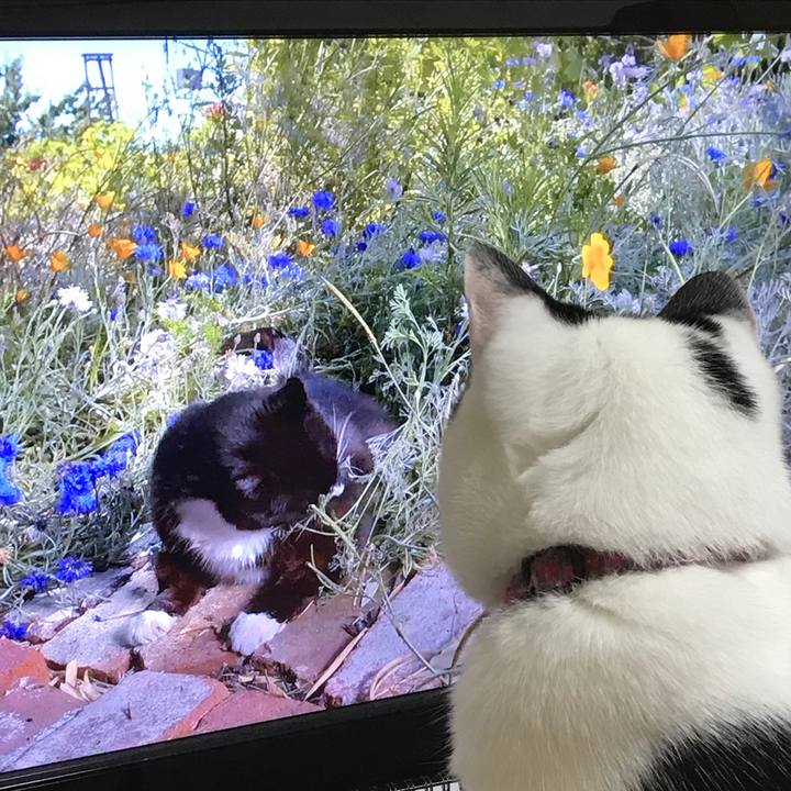 7cf2ad40 6870 4400 9dd3 c25eae0477bc 1517138943833