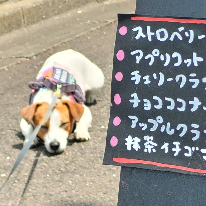 7cf2f13f c3f8 4e30 9c64 0b1d9663f4bd 1714022705180