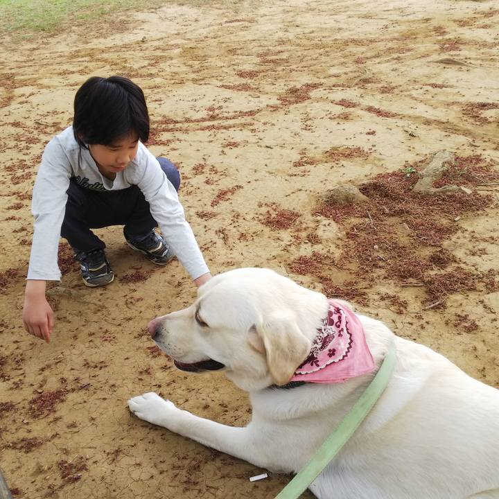 7cf32bea 93b1 44fc 8abe a2ac0a07f83d 1523680707301