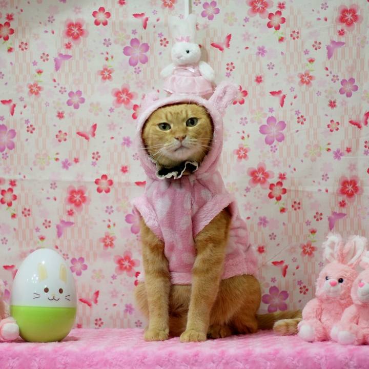 7cf351b5 66b3 4895 a236 b4df959b427e 1617490084878