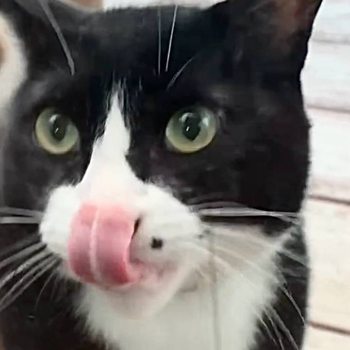 7cf3523b 2102 4a11 9925 8824a8797cd4 1754308676365