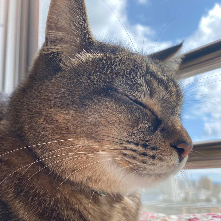 7cf37088 5eee 4b15 81e1 77dccd68184b 1615244249267