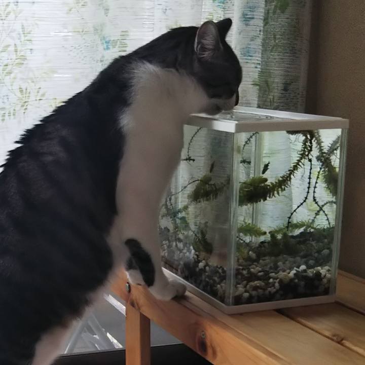 7cf37fd5 2afb 4a60 97ad dbab86835cd3 1629677905012