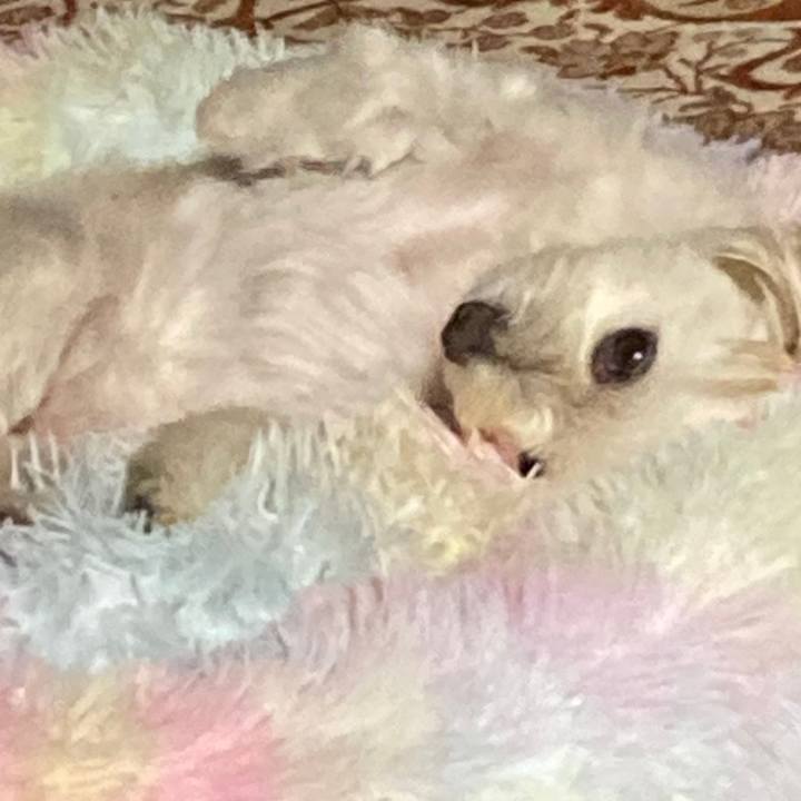 7cf3809a ba7c 464c 8d0a 6b7c5f8bcff5 1664970957013