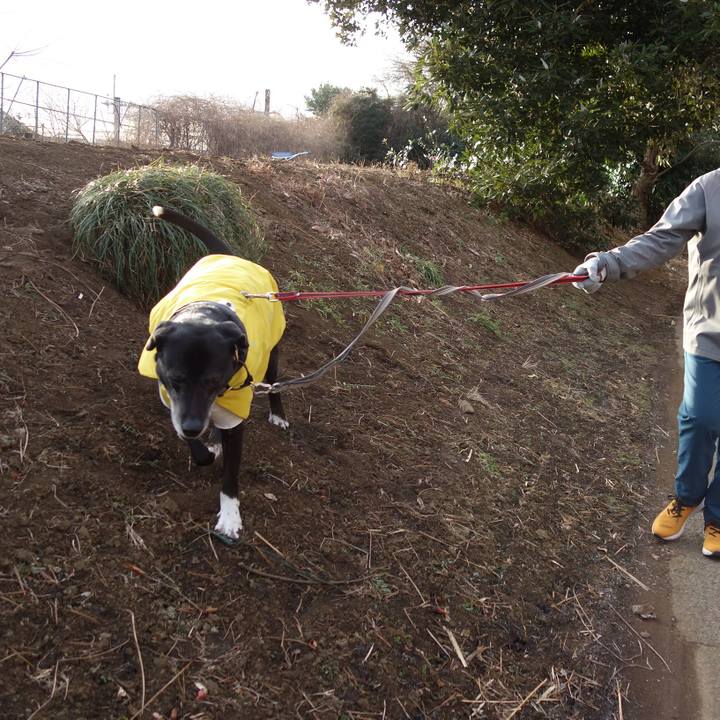 7cf39de9 24cc 48b3 938b 7e07096d837c 1737936448304