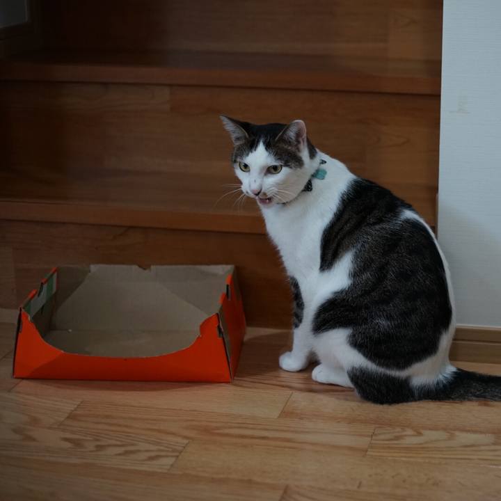 7cf3e3a4 cfb7 4ed4 bc69 4c6b8bd51fea 1532476221883