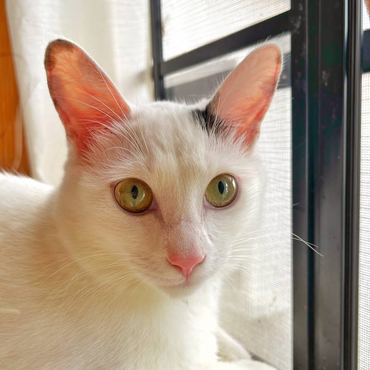 7cf41327 8676 413c ac91 efabdbf59d88 1688511620295