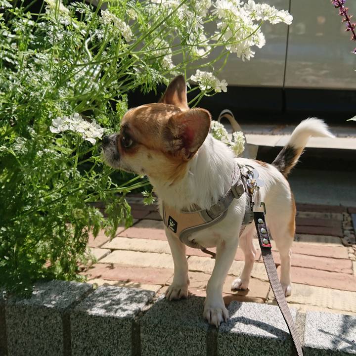 7cf439ae 656e 4ebd 9c5c ed719ce5f7b8 1558684711034