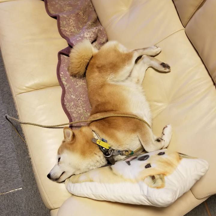 7cf439fc 05eb 4a73 85aa 91ac15176242 1638176739097