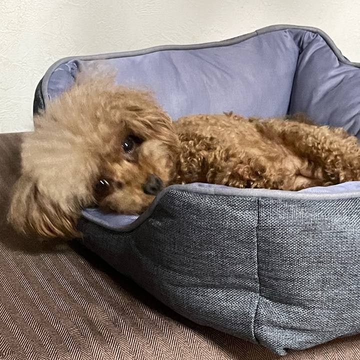 7cf4a26d f8d0 49ee 802b 4e1901de4bd4 1655677103285