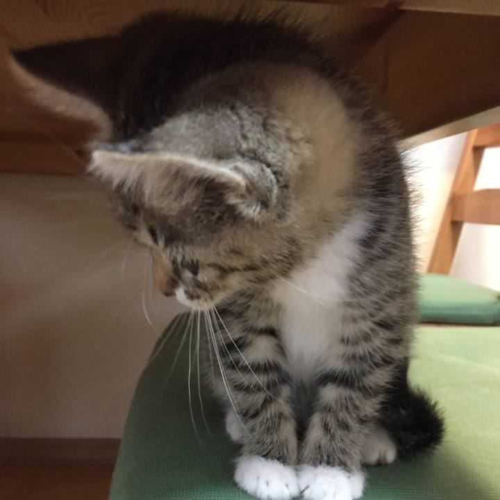 7cf4a880 4939 4d0d 9070 577cff128a32 1550629648334