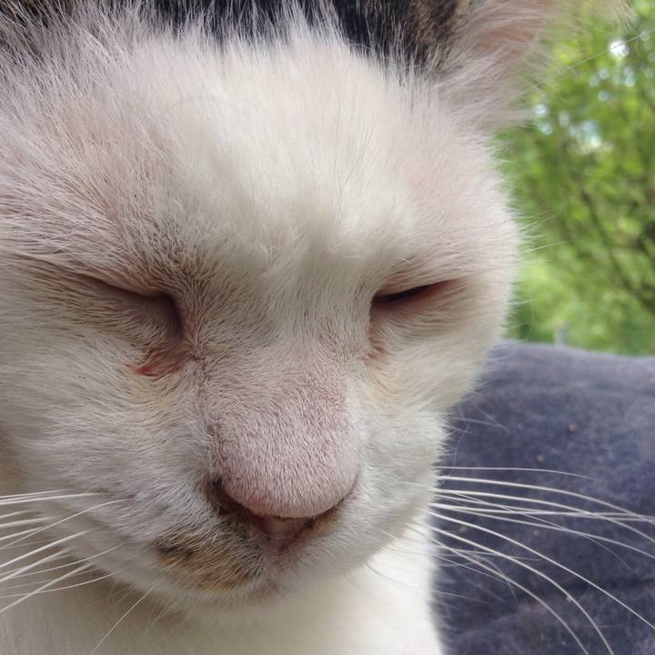 7cf4a93d 87d5 4c39 b60d 2ed125d8f57e 1557633732541