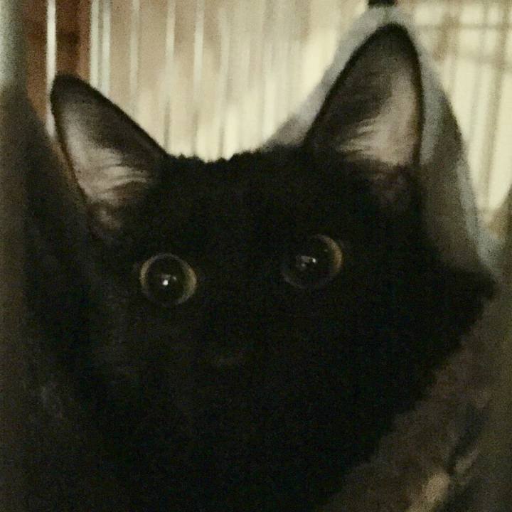 7cf4af5e ffd3 407a 812e 0b2658e50892 1580378218850