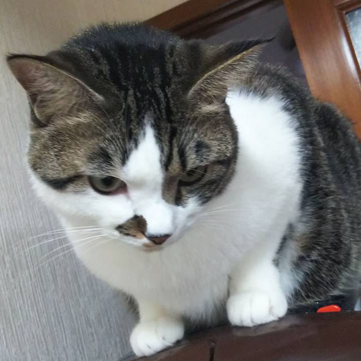 7cf4b844 9acd 4297 8c96 b94e9637ba2e 1663037251450