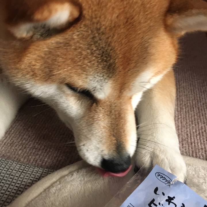 7cf4e3f8 9c5d 4693 a570 f46465ce982f 1574564602378