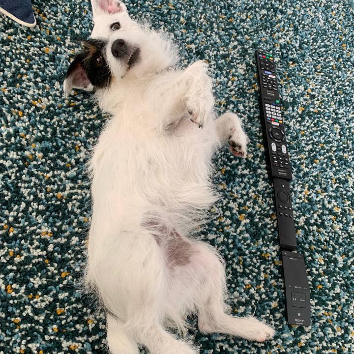 7cf501c4 88ab 407d b4f1 8c07e3ce751d 1553651242879