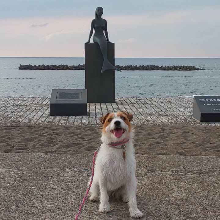 7cf53587 4af2 4b85 8872 9e380549892a 1598051619466