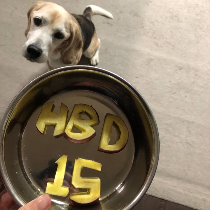 7cf54014 9c20 4959 89c0 2eed3ff7501a 1586001849447