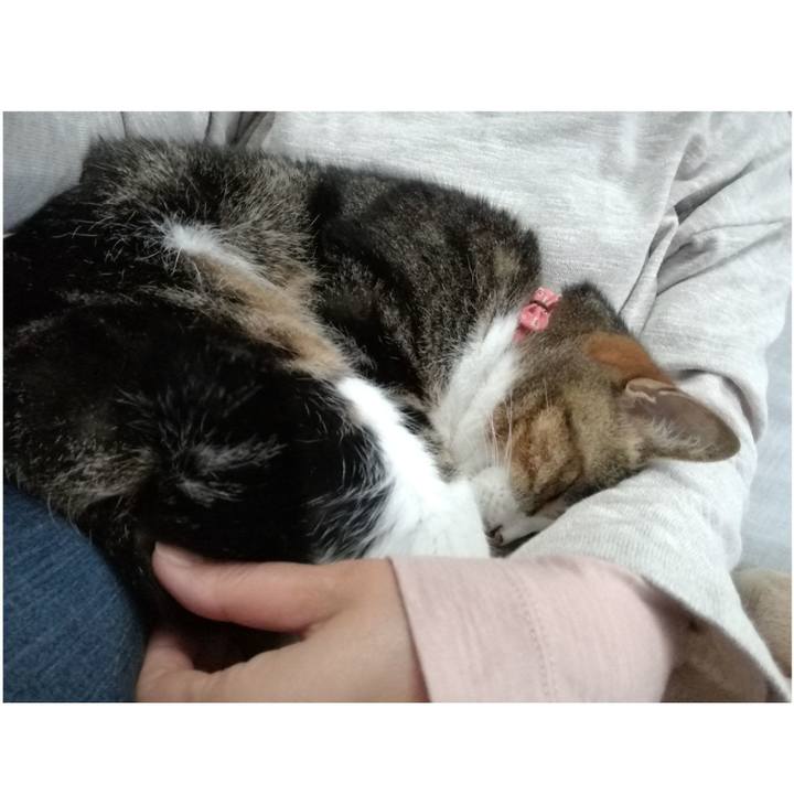 7cf559c2 854f 42c2 9d84 0bc0203efc30 1560122786321