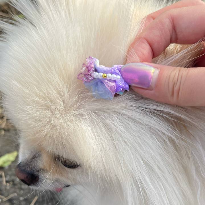 7cf55f50 9483 401f aae5 df36af8914a1 1623096433114