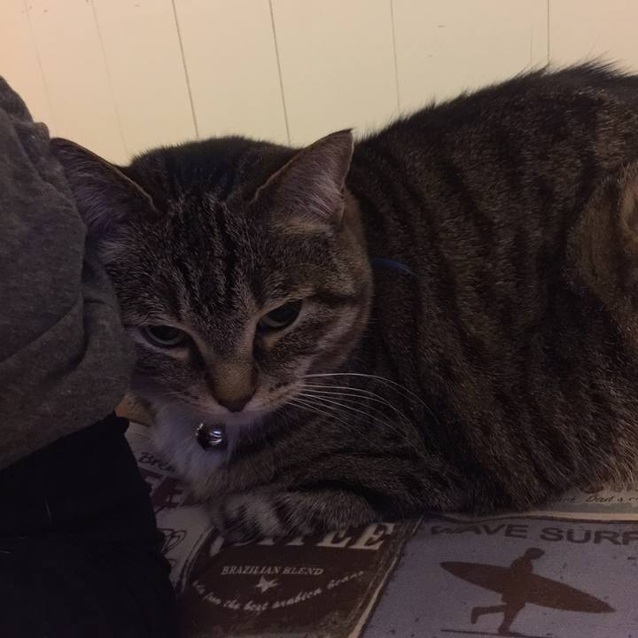 7cf585ce d7c7 43df 8e80 ac35ad46b445 1558624948614