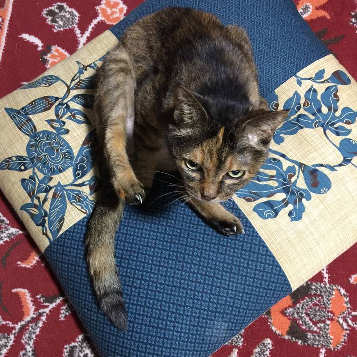 7cf5945c 3ab6 4c11 bfea 73269e5b63ab 1589536112208