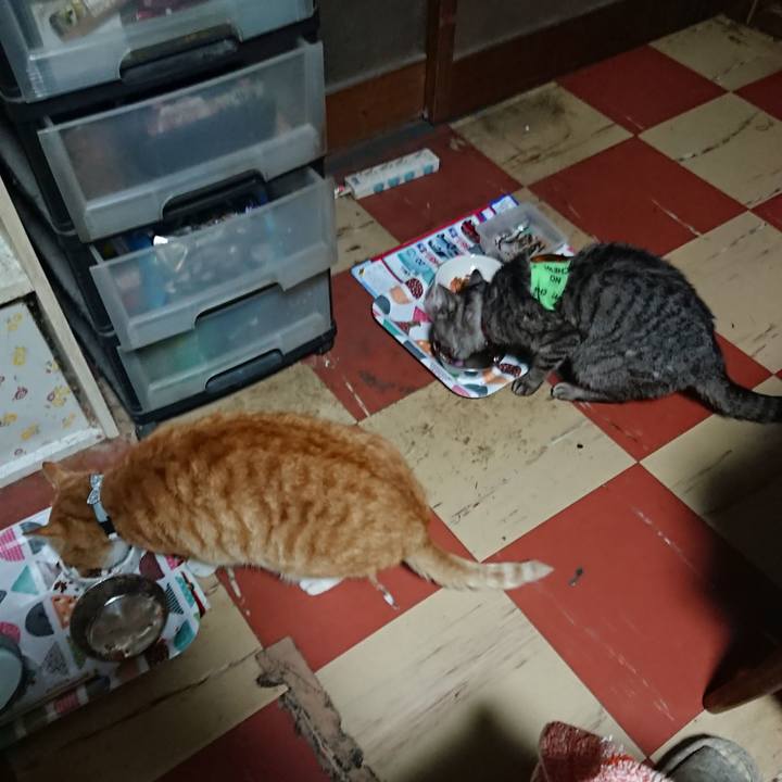 7cf5c02d 5a59 4778 8eb6 8d3c7c4d84fb 1587067394128