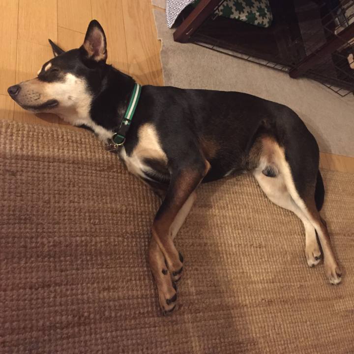 7cf5c377 86b8 4e81 9f76 40d01e4ba46a 1514727693330