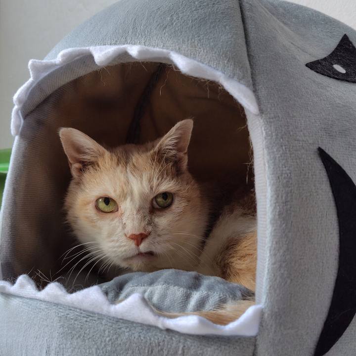 7cf5daea 60df 45fe 8e9a 8e72d1ac64c8 1754116506878