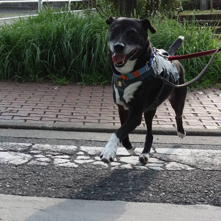 7cf5e765 5ecd 4a28 80c0 4bc798b761ee 1751585295746