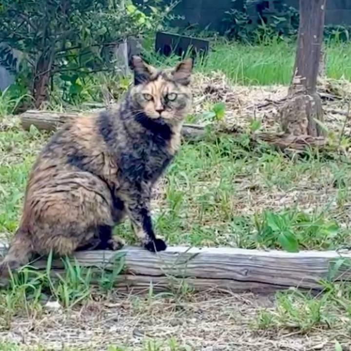 7cf62e5f 2302 43d4 a2eb d283a4bc1b43 1753358115202