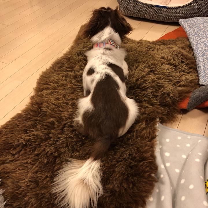 7cf688ef ab92 4b9d 8d66 e0fcd9f67ce5 1547820090954