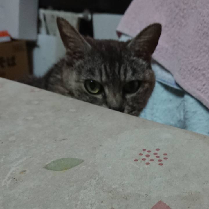 7cf68d4a 39ad 48c8 8043 7dc6c2d034be 1564863832855