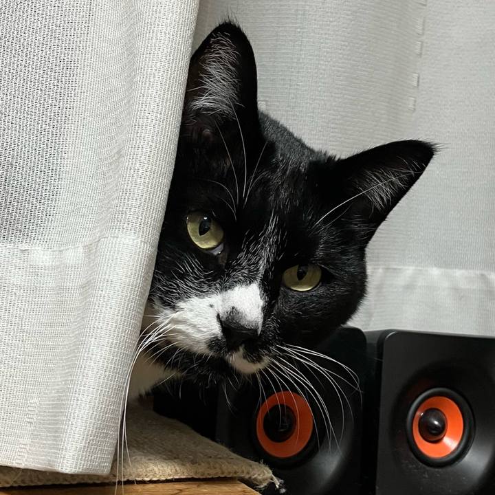 7cf696a8 3cf6 4b3a bf82 3f2b15ee65b1 1737428142790