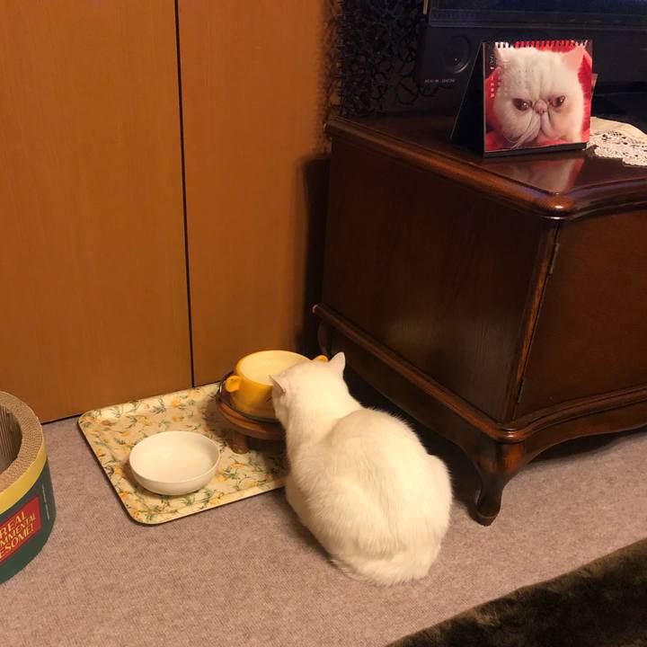 7cf6c7e1 86ba 48c5 bd9a d0c733fbca6c 1615644279818