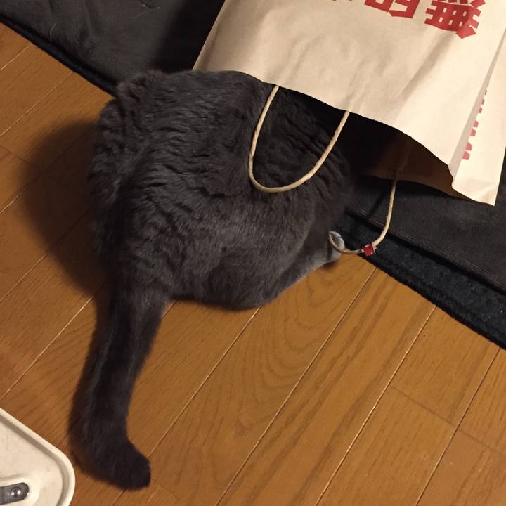 7cf6d63c 5986 48ff 96e4 dfaac508e673 1522067725421