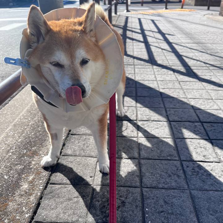 7cf72ea0 6a8d 4f07 b29d 6aaabe26b9cc 1704708057180